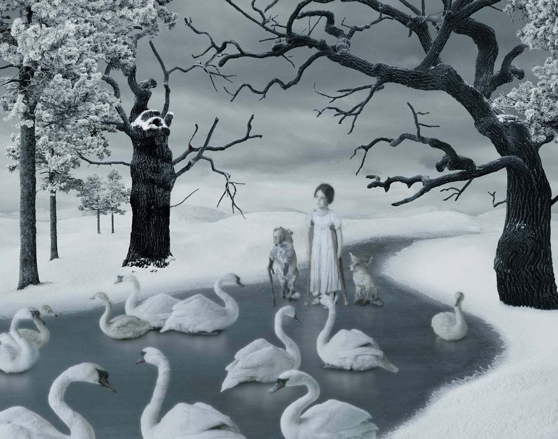 Among the Swans